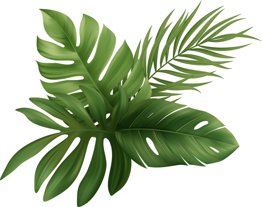 Palm Leaves